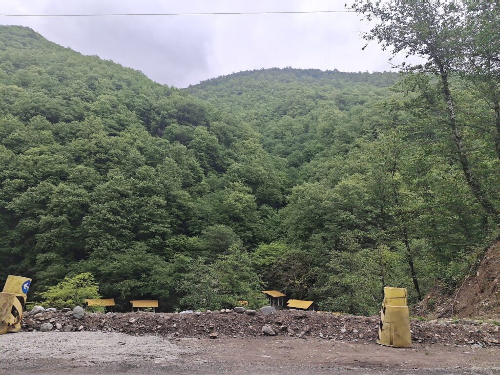 Forest near Masuleh.