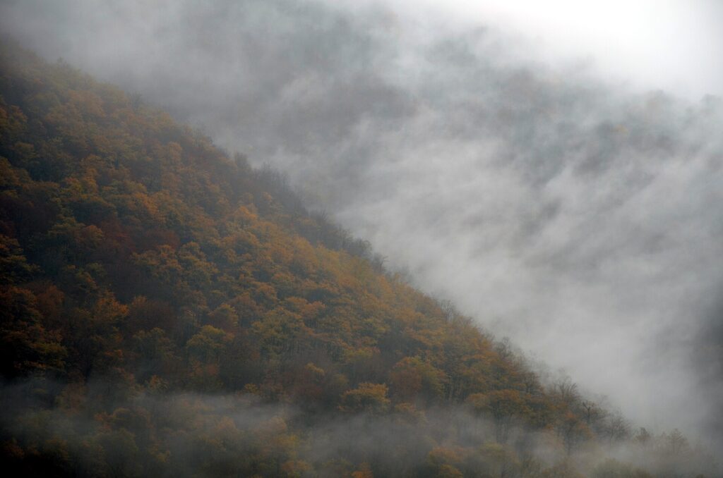 Mist over the forests of Mazandaran.