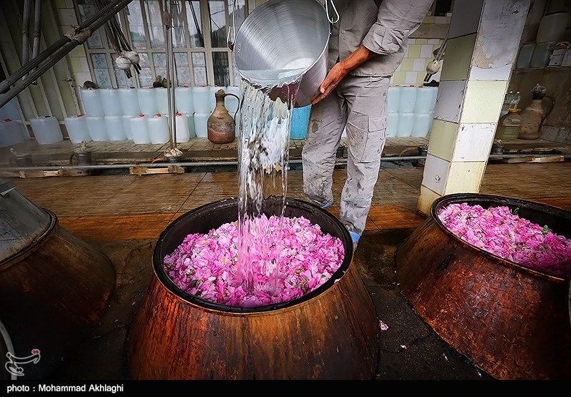 Rose water at Qamsar.